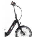 Italian Supplier Electric Bicycle 250 W Lithium Battery LCD Display Folding Electric Bike